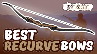 Best Recurve Bows 🏹 Buyers Guide  Big Game Logic [upl. by Ateekahs660]