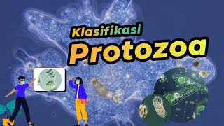 Klasifikasi Protozoa  Protista Mirip Hewan  Dunia Biologi [upl. by Kcid]