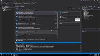 Visual Studio 2015 Nuget Server Establish localhost test [upl. by Ytineres847]