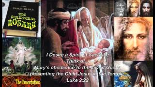 A Scriptural Rosary  Joyful Mysteries [upl. by Aidole903]