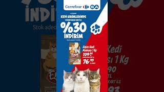 CarrefourSA ile kedi festivali başlıyor 💙 [upl. by Corson]