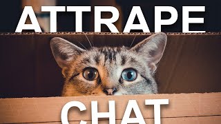 ATTRAPE CHAT [upl. by Eseuqram]