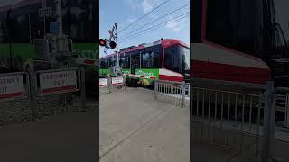 Northern Railway Crossing at SomersetBridlewood Station calgary ctrain train calgarytransit [upl. by Dahaf381]