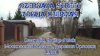 Деревня Орловка улица ОзёрнаяСело Орловка улица Озерная 12112024 [upl. by Tedric]