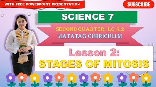 SCIENCE 7 Quarter 2 LC 52 STAGES OF MITOSIS  MATATAG CURRICULUM [upl. by Ilwain]