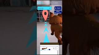 AR Library Navigator  3D Fox [upl. by Eal]