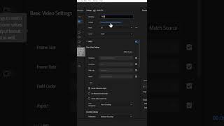 how to export video premiere pro 2024 [upl. by Boggs]