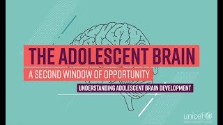 The Adolescent Brain A second window of opportunity [upl. by Reivaz]