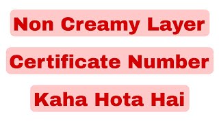 non creamy layer certificate number kaha hota hai  non creamy layer certificate number maharashtra [upl. by Isla192]