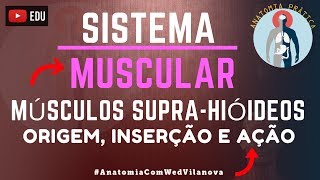 Músculos Suprahióideos Origem  Inserção  Ação  Sistema Muscular  Anatomia Prática  VideoAula [upl. by Rudich685]