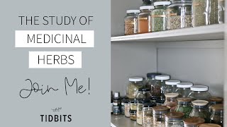 The Study of Medicinal Herbs  Lets Learn Together [upl. by Nive]