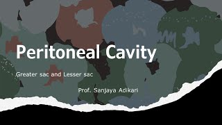 Peritoneal Cavity [upl. by Sille887]