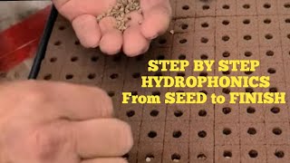 Hydroponic Seed to Finish STEP BY STEP [upl. by Gehman]