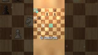 TAL BRILLIANCY  TAL BRILLIANT MOVEchess [upl. by Genovera]