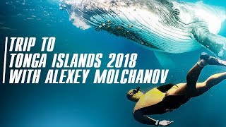 Trip to Tonga islands with Alexey Molchanov 2018 [upl. by Sairahcaz663]