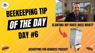 Beekeeping Tip Of The Day Day 6 Slant Your Hives Forward [upl. by Otiv371]