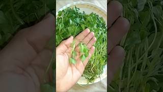 Aloo Methi Sabji Recipe merrykitchen shorts sabji trending viralshort cooking [upl. by Llednil]