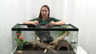 How to Set Up a Snake Enclosure [upl. by Siri]