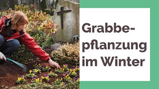 Grabbepflanzung im Winter – Alle Tipps und winterharte Pflanzen für die Grabpflege [upl. by Ck222]