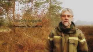 Forestier naturaliste à l’ONF un métier au service de la préservation de la biodiversité [upl. by Rooke467]