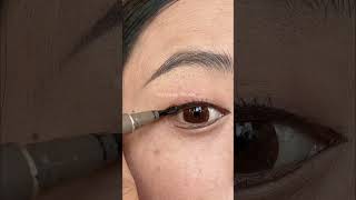 Eyeliner Tutorial For Beginners ❤️❤️❤️ [upl. by Vilberg526]