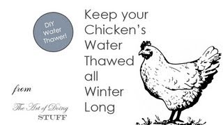 DIY Chicken Water Thawer [upl. by Enahsal]