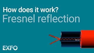 Fresnel Reflection  EXFO animated glossary of Fiber Optics [upl. by Geesey]