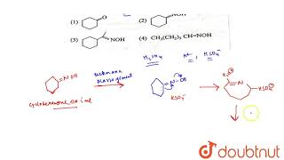 Caprolactam a starting material for the manufacture of nylon 6 is prepared by sulhpuric acid [upl. by Goody]