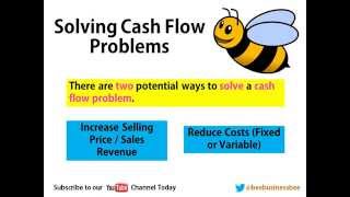 Bee Business Bee Business Cash Flow Presentation [upl. by Cathryn]