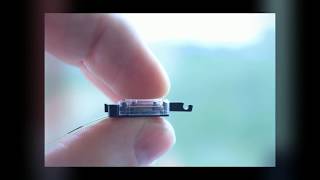 PiezoWave  Miniature piezo motor [upl. by Erdnaxela125]