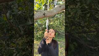 survival skills ￼ survive in forest simple and useful tips ￼🤫 shorts shortsvideo shortsfeed [upl. by Nerine]