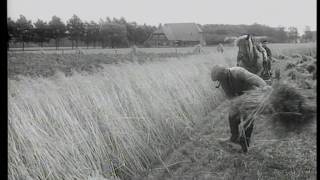 Stadsjournaal Eindhoven 1963 [upl. by Dianuj]