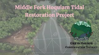 The Tide is Coming Home  Middle Fork Hoquiam Tidal Restoration Project [upl. by Ahsinid]