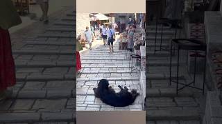 Sliding cobblestones in Mostar [upl. by Deloria164]