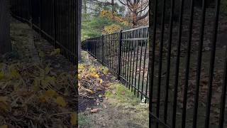 Aluminum Fence Installation St Charles IL fencing fenceinstallation fence backyard home [upl. by Atteynot]