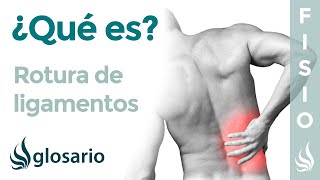 ROTURA de LIGAMENTOS  Qué es qué afecta síntomas causas y tratamiento fisioterapéutico [upl. by Fraser]