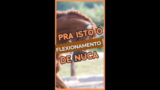 como flexionar nuca de cavalo ou muar [upl. by Heriberto]