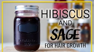 Hibiscus amp Sage For Hair Growth Reduce Shedding [upl. by Swane]