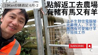 點解返工去農場，有豬有馬又有羊，離開倫敦或香港嘅辦公室已經很遠很遠￼｜「Oxfordshire 抄錶週記 6月  2」 [upl. by Sevart320]