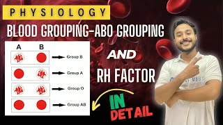 abo blood group physiology  rh antigen physiology  Erythroblastosis fetalis  physiology [upl. by Tirrag]