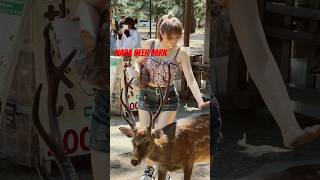 NARA DEER PARK  TRAVEL TO JAPAN MINI VLOG  OSAKA NARA KYOTO VIDEO [upl. by Nnylsaj508]