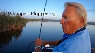 Its a great lureWhopper Plopper 75 [upl. by Biebel]