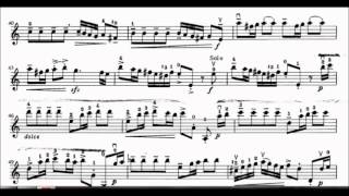 Vivaldi Concerto in A Minor first movement violin sheet music [upl. by Daenis451]