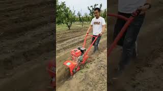 ditching machine microtillage machine orchard trenching machine ✨✨ [upl. by Atekehs]