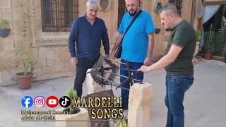 Mardelli Songs Orginal mardellisongs arabmardin mardin music arab mardinli [upl. by Willman840]