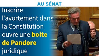 La constitutionnalisation de lIVG ouvre une boîte de Pandore  Stéphane Ravier [upl. by Dian360]