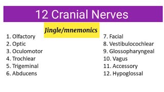 Cranial Nerves Jingle Mnemonic and explanation [upl. by Armalda]