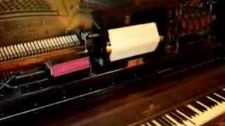 player piano [upl. by Gotthard50]