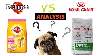 Royal canin vs Pedigree  Dry food  Wetcanned food [upl. by Corvese]