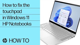 How to fix the touchpad on HP Notebooks running Windows 11  HP Computers  HP  HP Support [upl. by Telfer896]